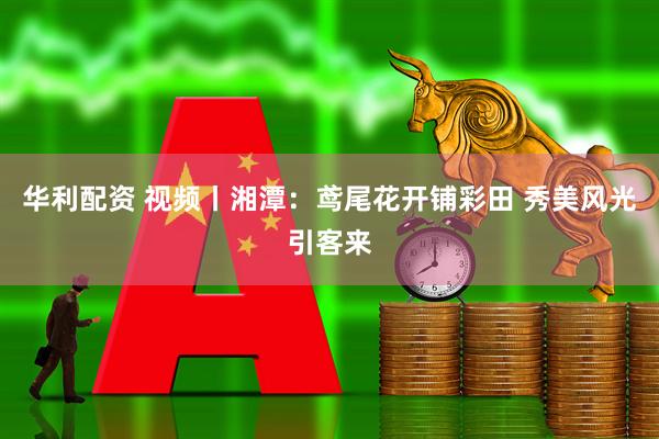华利配资 视频丨湘潭：鸢尾花开铺彩田 秀美风光引客来
