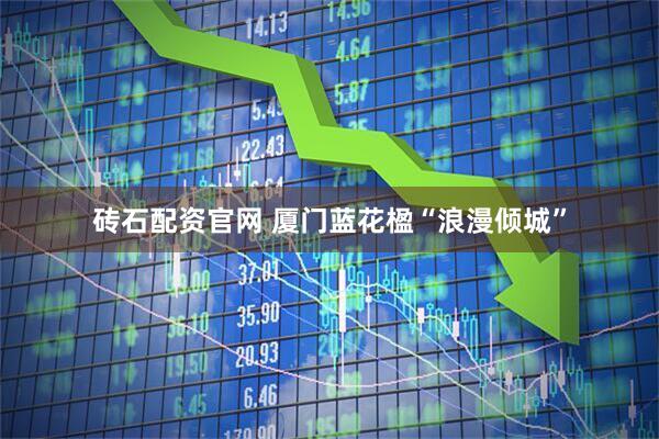 砖石配资官网 厦门蓝花楹“浪漫倾城”